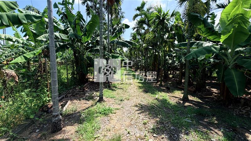 內埔大面積都計農地房屋室內格局與周邊環境