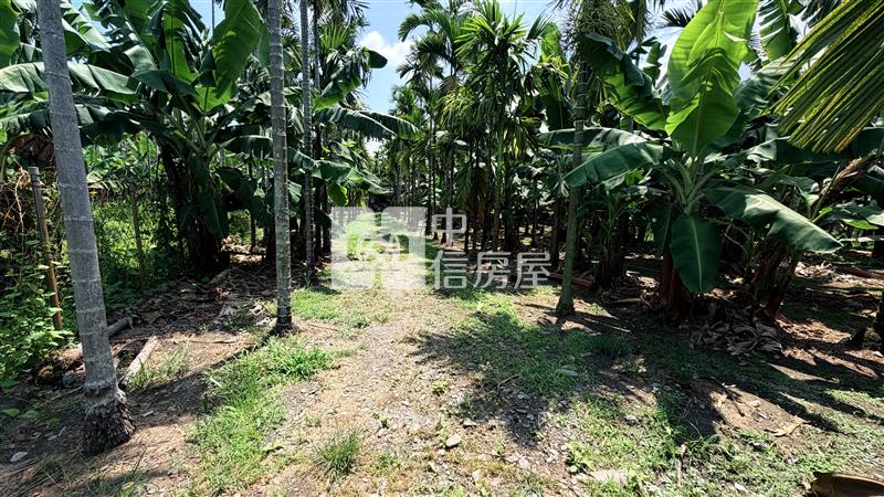 內埔大面積都計農地房屋室內格局與周邊環境