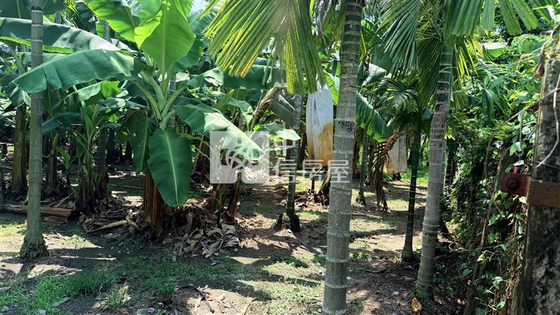 內埔大面積都計農地房屋室內格局與周邊環境