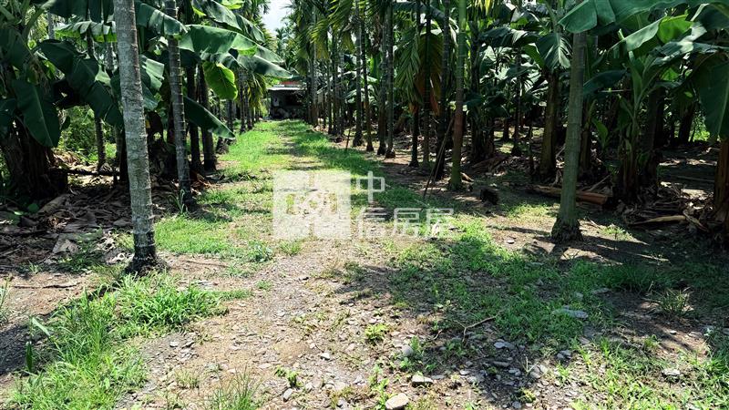 內埔大面積都計農地房屋室內格局與周邊環境