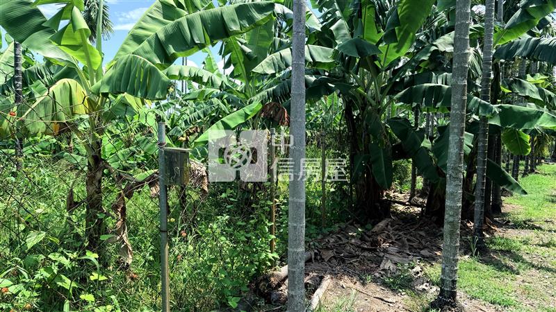 內埔大面積都計農地房屋室內格局與周邊環境