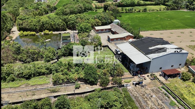 桃園平鎮漂亮農地+甲建房屋室內格局與周邊環境