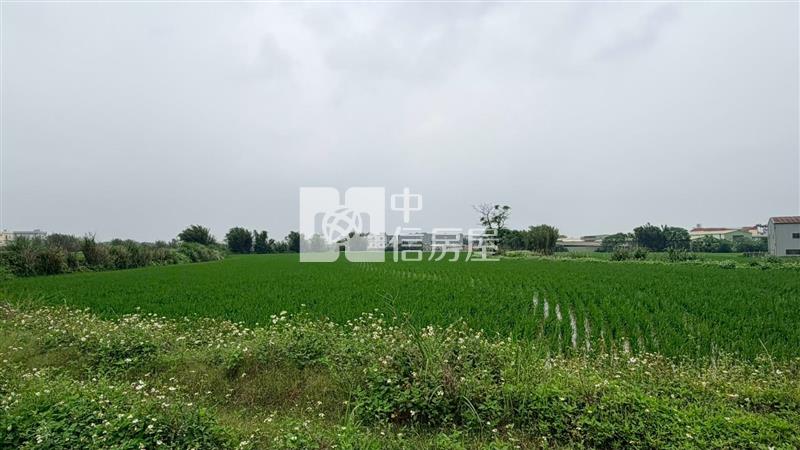 新屋區中山段農地房屋室內格局與周邊環境
