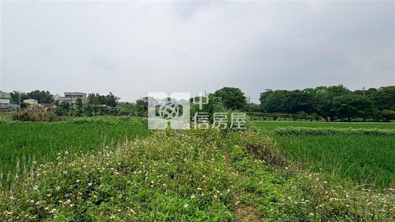 新屋區中山段農地房屋室內格局與周邊環境