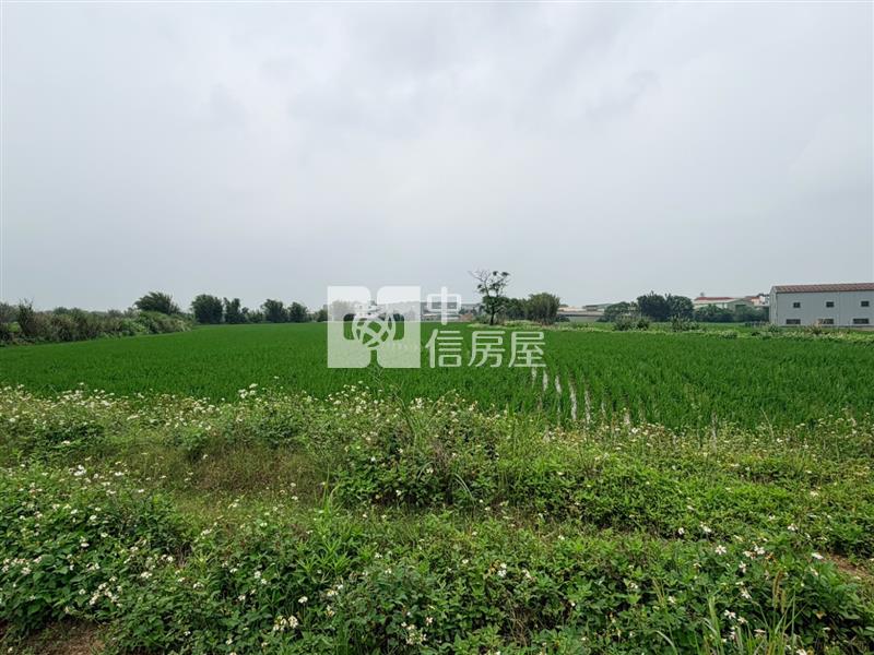 新屋區中山段農地房屋室內格局與周邊環境