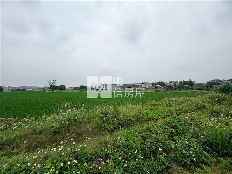 新屋區中山段農地房屋室內格局與周邊環境