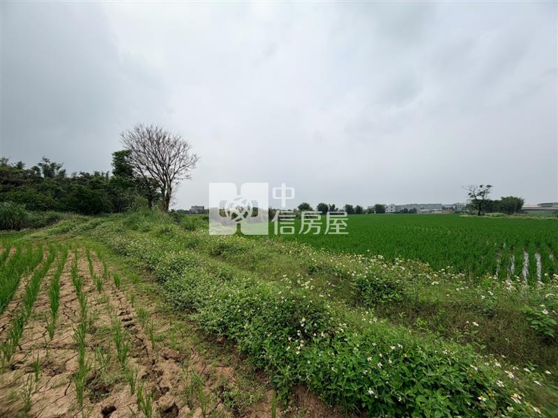 新屋區中山段農地房屋室內格局與周邊環境