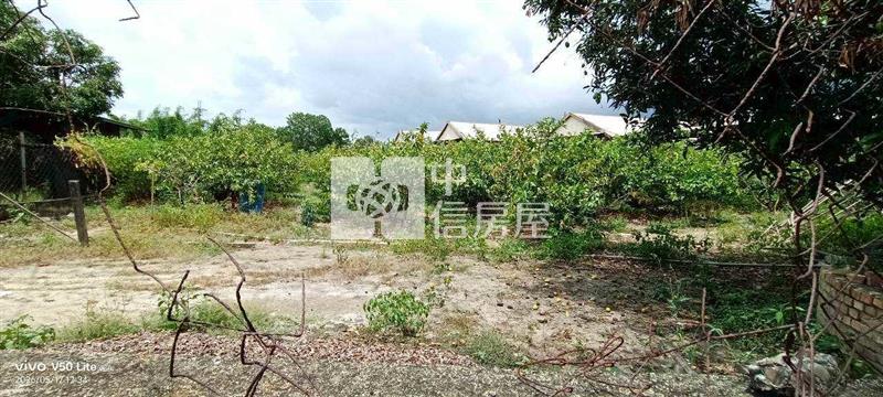 大崗山地平坦芭樂農地房屋室內格局與周邊環境