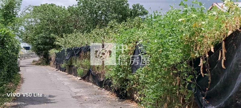 大崗山地平坦芭樂農地房屋室內格局與周邊環境