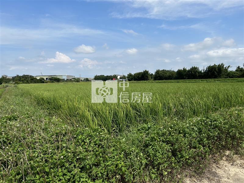 新屋區埔頂段美農地房屋室內格局與周邊環境