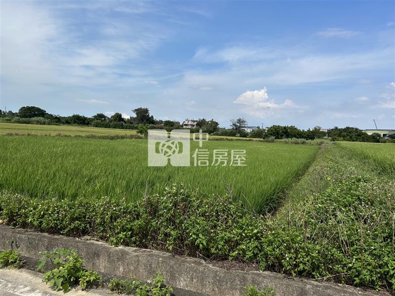 新屋區埔頂段美農地房屋室內格局與周邊環境