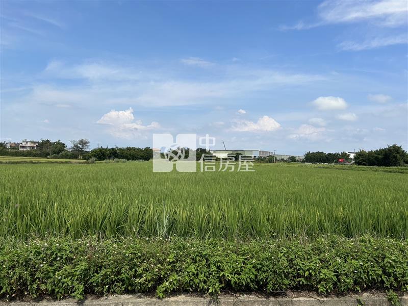 新屋區埔頂段美農地房屋室內格局與周邊環境