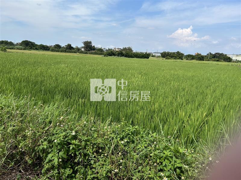 新屋區埔頂段美農地房屋室內格局與周邊環境