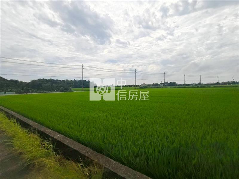新屋正民有一路大面寬雙面臨路美農地房屋室內格局與周邊環境
