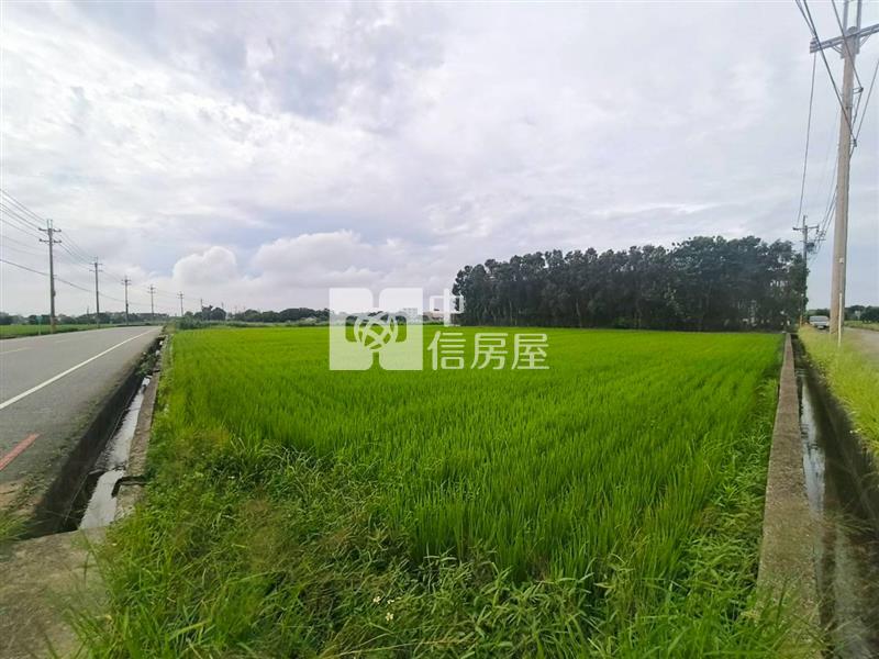 新屋正民有一路大面寬雙面臨路美農地房屋室內格局與周邊環境