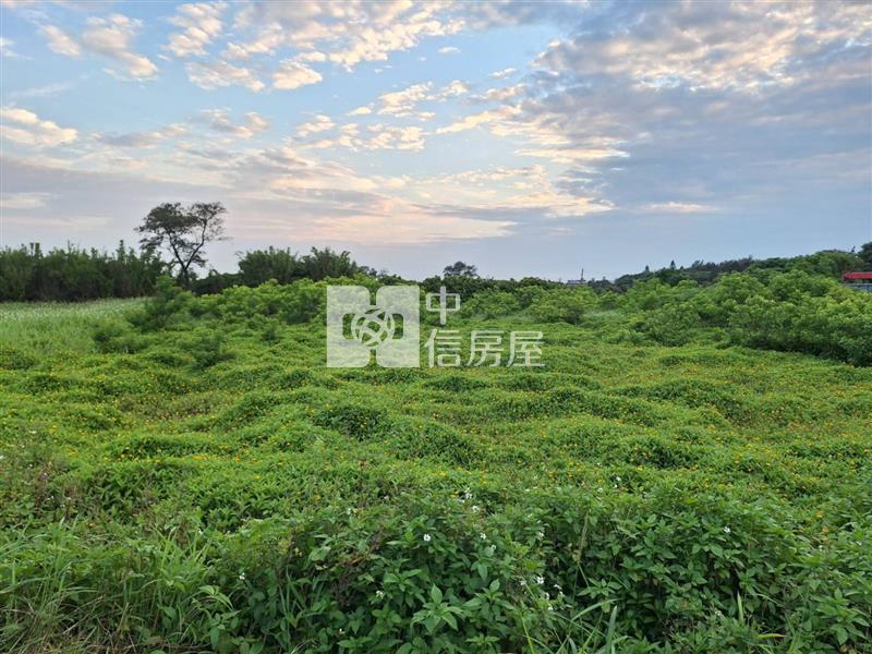 觀音台15旁|臨25米路美農地房屋室內格局與周邊環境