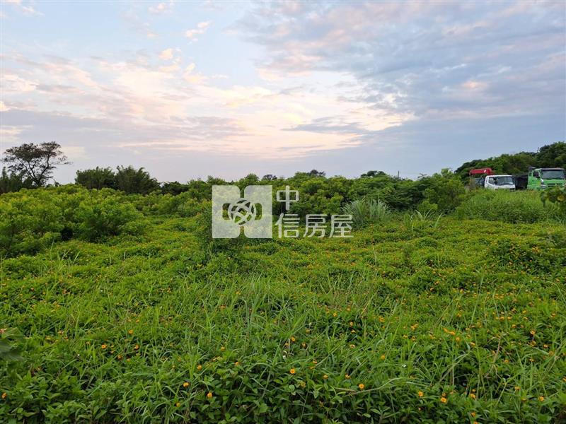 觀音台15旁|臨25米路美農地房屋室內格局與周邊環境