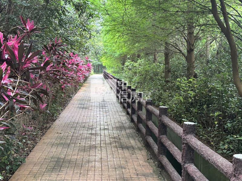 中央大學 中央路旁 都計內農地房屋室內格局與周邊環境