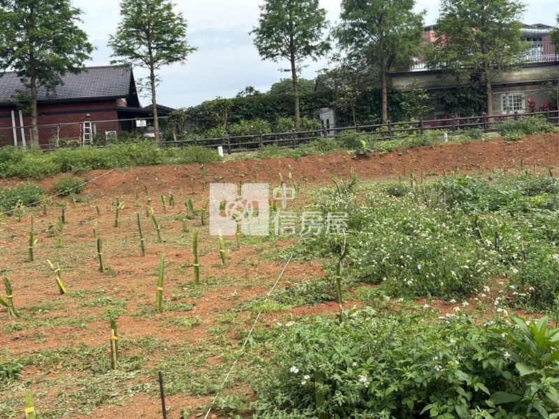 中央大學 中央路旁 都計內農地房屋室內格局與周邊環境