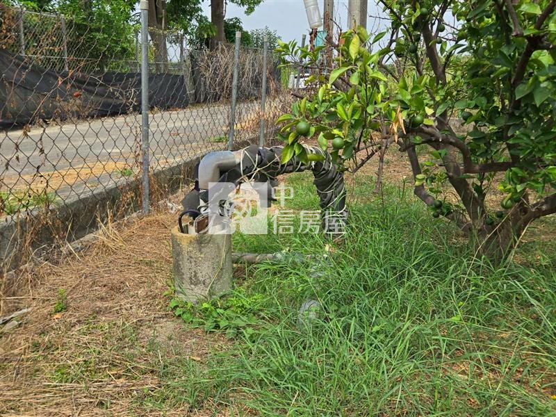 麻豆稀有近千坪農地+老欉柚樹房屋室內格局與周邊環境