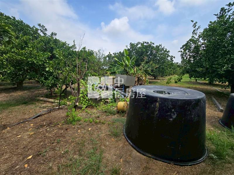 麻豆稀有近千坪農地+老欉柚樹房屋室內格局與周邊環境
