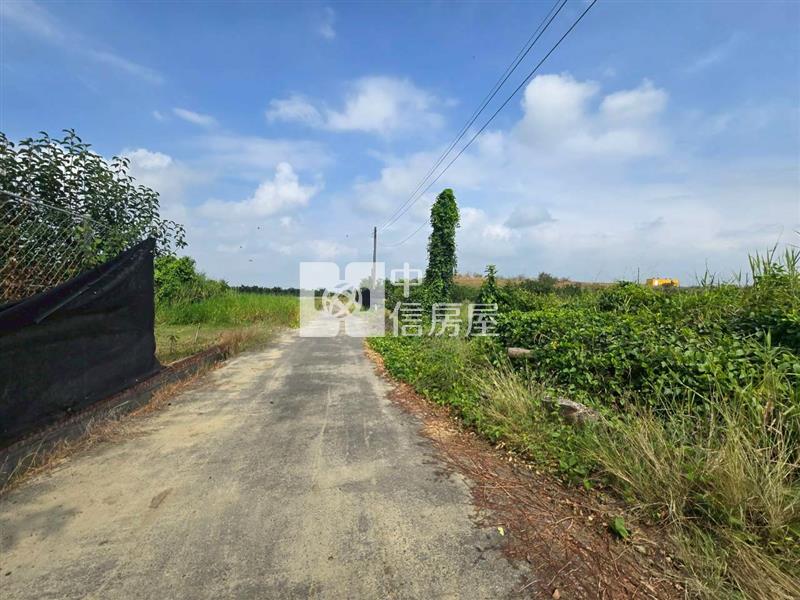 麻豆稀有近千坪農地+老欉柚樹房屋室內格局與周邊環境