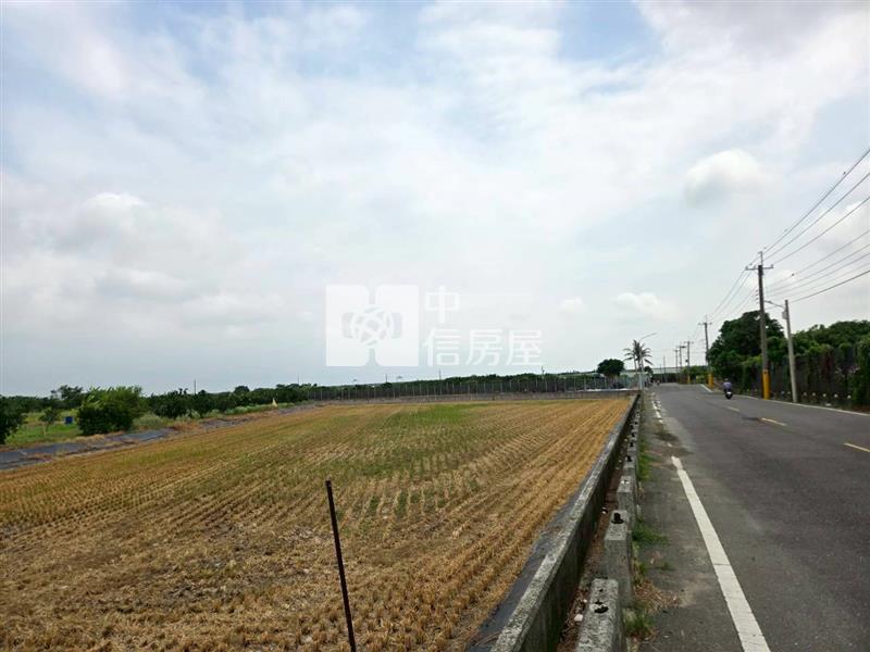 麻豆稀有近千坪農地+老欉柚樹房屋室內格局與周邊環境