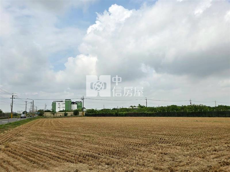 麻豆稀有近千坪農地+老欉柚樹房屋室內格局與周邊環境