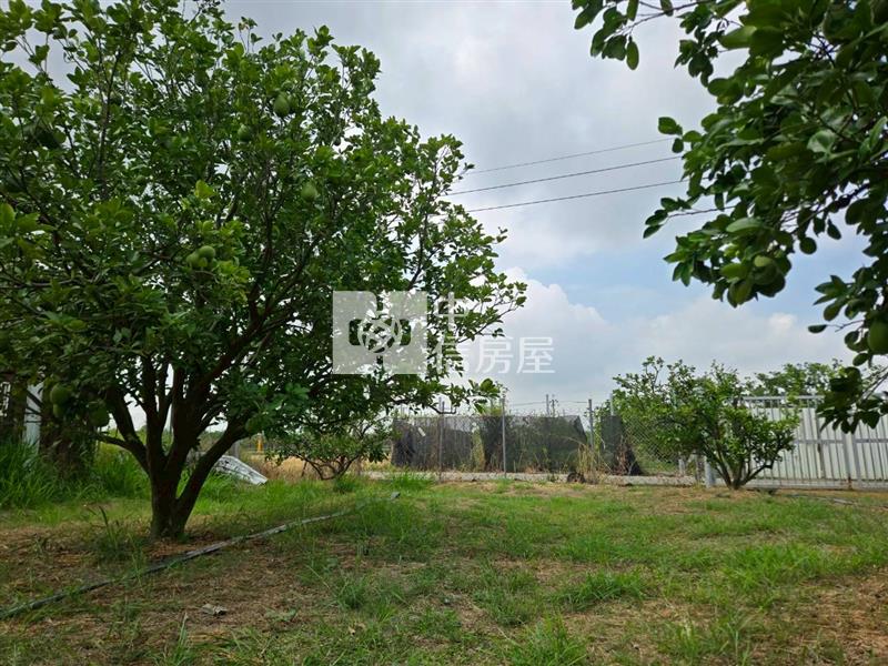 麻豆稀有近千坪農地+老欉柚樹房屋室內格局與周邊環境