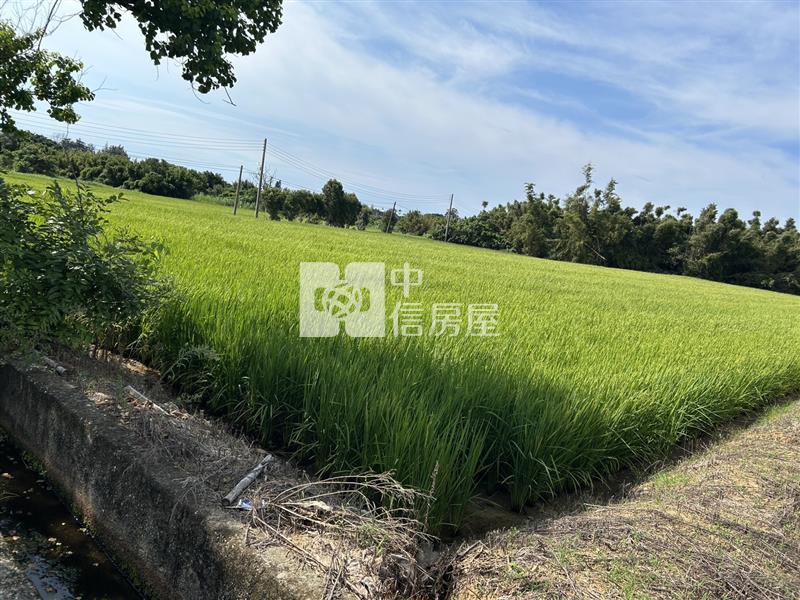 新屋區一般農業區農地
