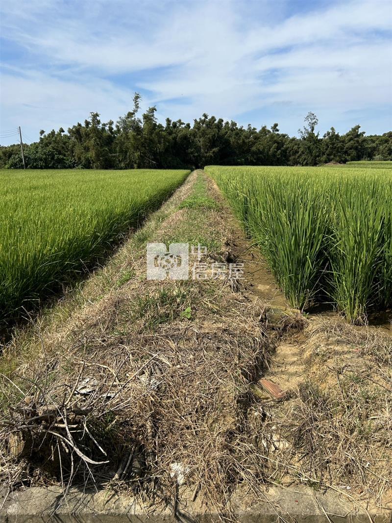 新屋區一般農業區農地房屋室內格局與周邊環境