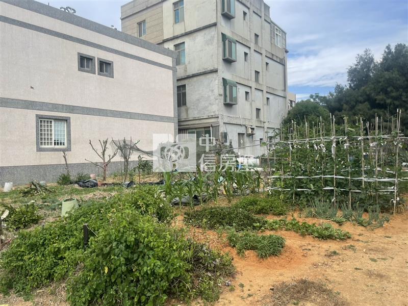 【新世紀】大潭住宅用地房屋室內格局與周邊環境