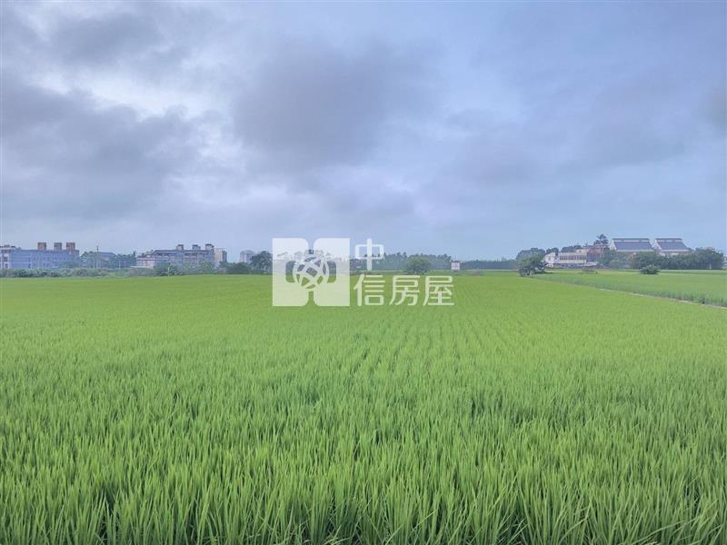 楊梅-楊湖路農地房屋室內格局與周邊環境