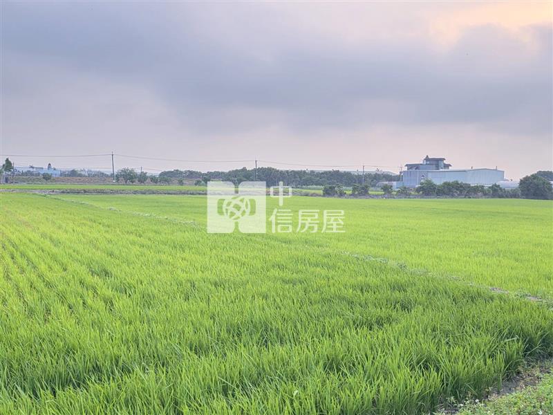 楊梅-楊湖路農地房屋室內格局與周邊環境