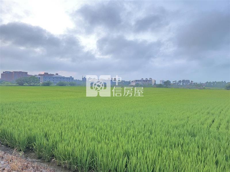 楊梅-楊湖路農地房屋室內格局與周邊環境