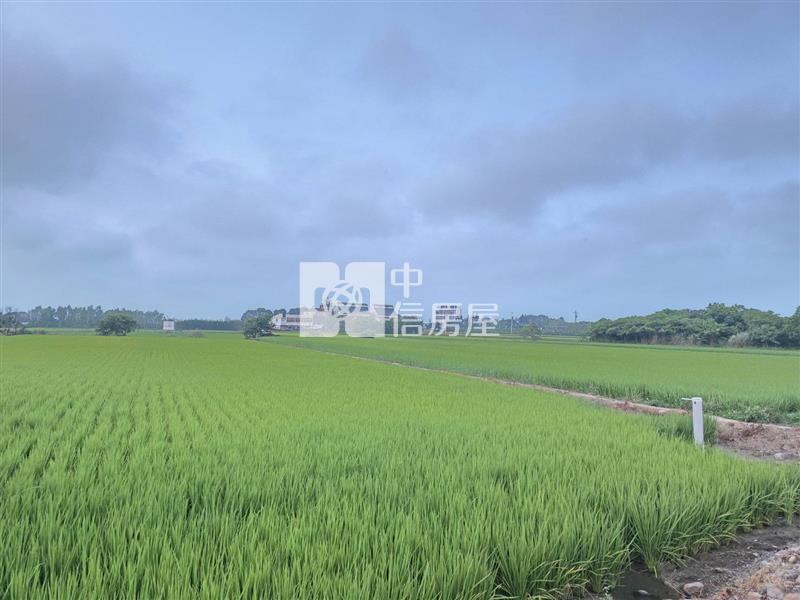 楊梅-楊湖路農地房屋室內格局與周邊環境