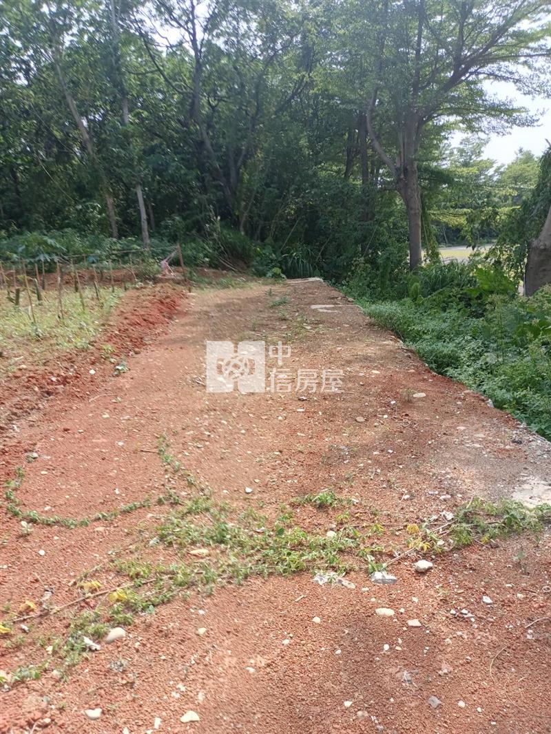 中壢普忠路都內農地房屋室內格局與周邊環境