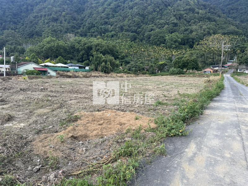 東潤農地房屋室內格局與周邊環境