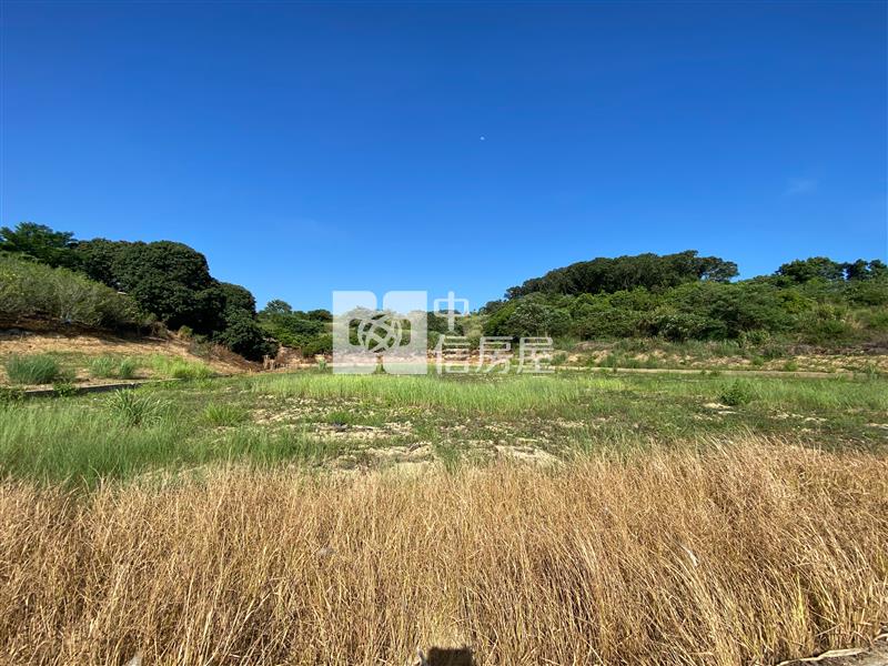 關廟近咬狗溪大面寬農地房屋室內格局與周邊環境