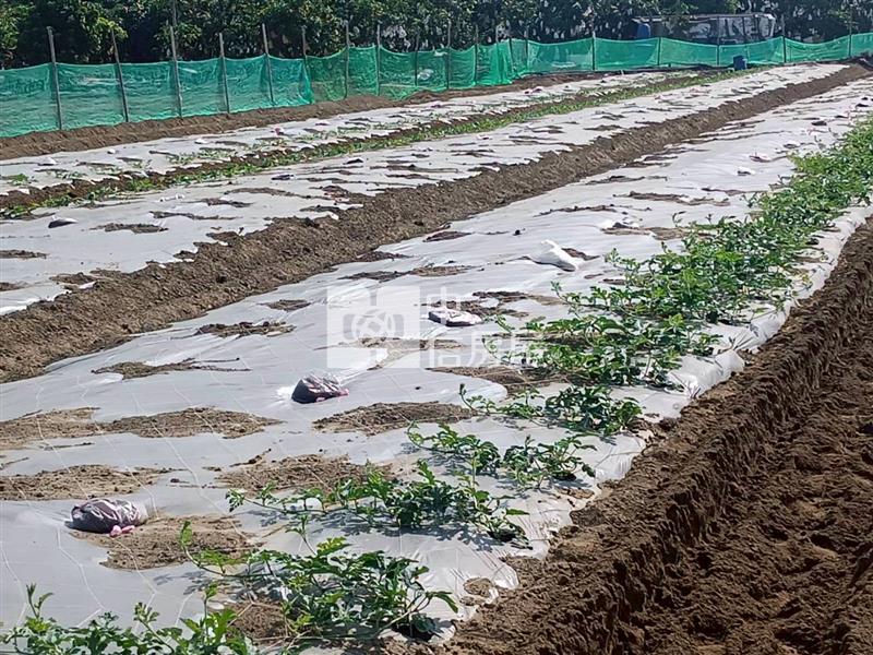 歸仁高鐵特區旁一般農地房屋室內格局與周邊環境