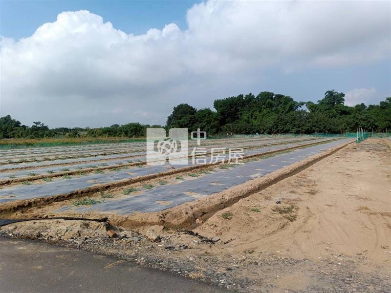 歸仁高鐵特區旁一般農地房屋室內格局與周邊環境