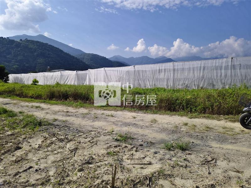 中心大面寬房屋室內格局與周邊環境