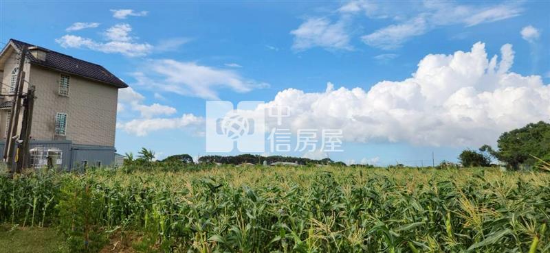 新豐員山子合法資材室房屋室內格局與周邊環境