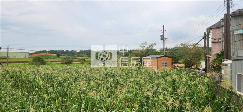 新豐員山子合法資材室房屋室內格局與周邊環境