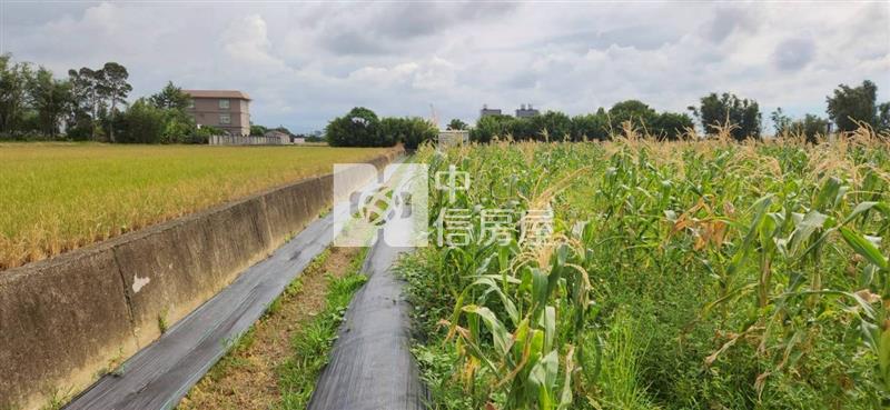 湖口合興資材室房屋室內格局與周邊環境