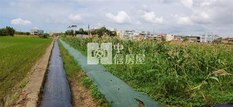 湖口合興資材室B房屋室內格局與周邊環境