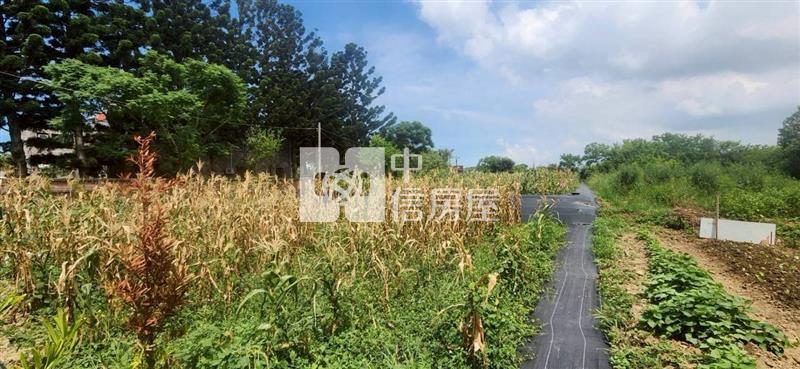湖口德和路資材室房屋室內格局與周邊環境