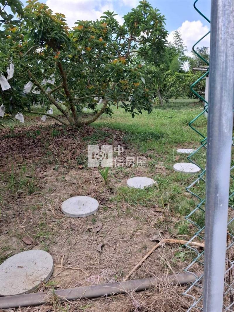 玉井區都計內580坪親民價美農地房屋室內格局與周邊環境
