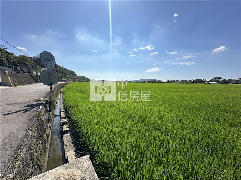 外埔區臨路稻田農地房屋室內格局與周邊環境