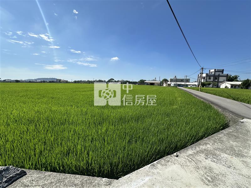 外埔區臨路稻田農地房屋室內格局與周邊環境